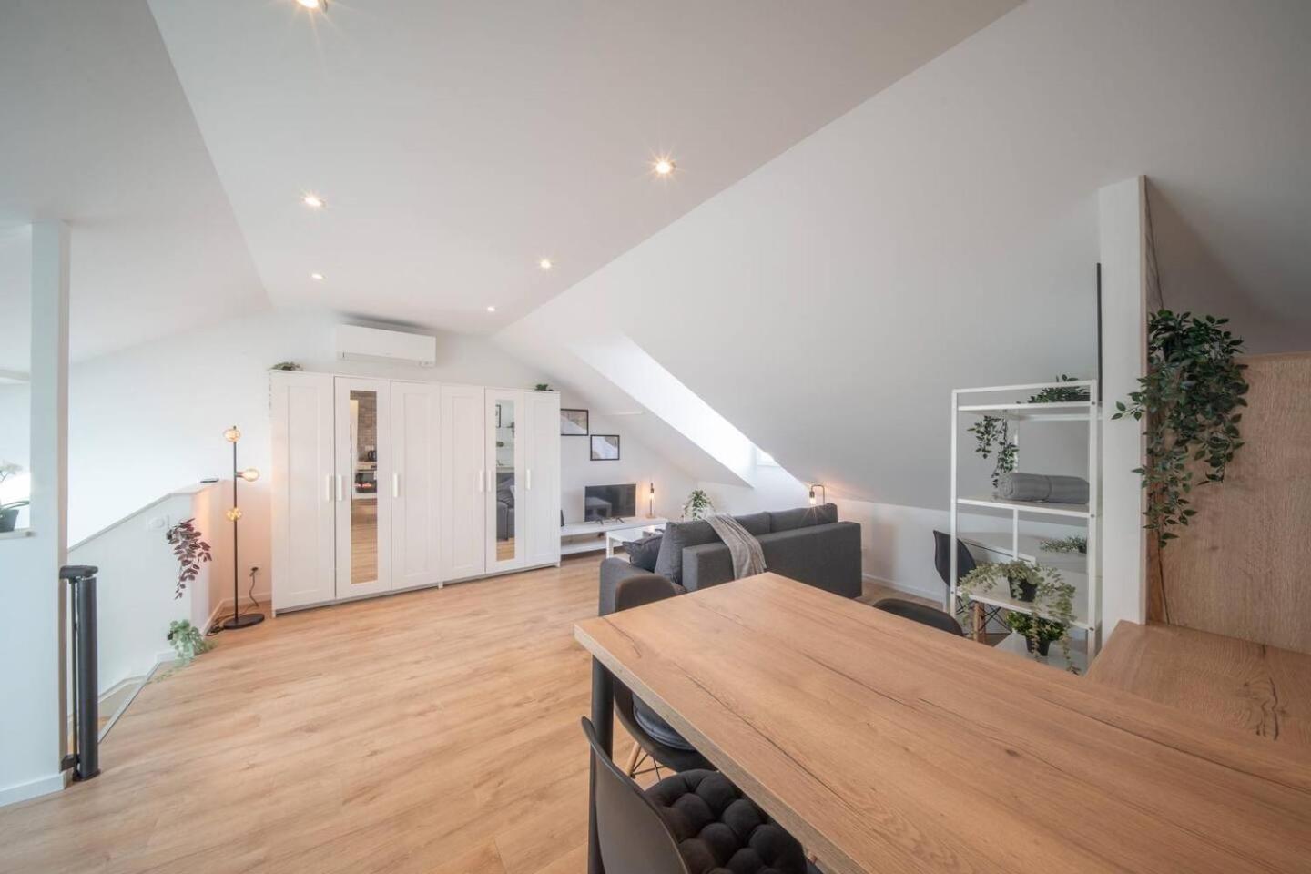 Superbe Appartement Climatise Parking Free Special Eurovision Mülhausen Exterior foto